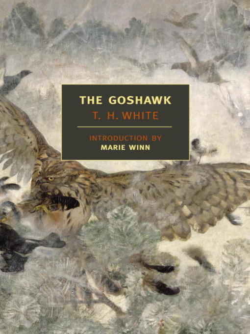 Title details for The Goshawk by T.H. White - Available
